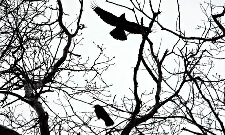 Christopher Reid, poetry