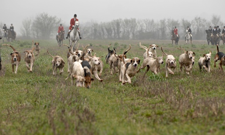 Foxhunting