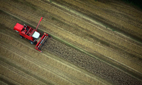 A combine harvester works the fields 