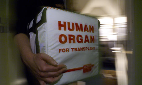 Caixa de transplante de órgãos humanos