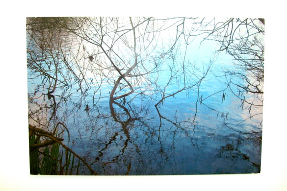 Boundless 2: Untitled by Billy Fowler 