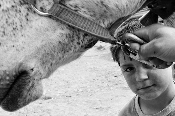 Roma history month: Zsuzsanna Ardó