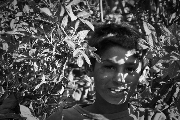 Roma history month: Zsuzsanna Ardó