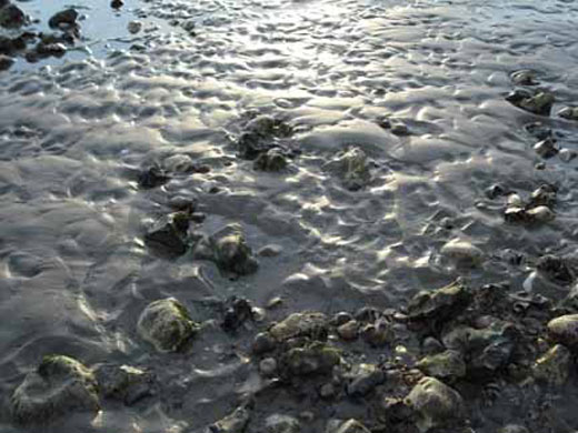 UR in the Picture: Simplicity by 	Irene Jenkins