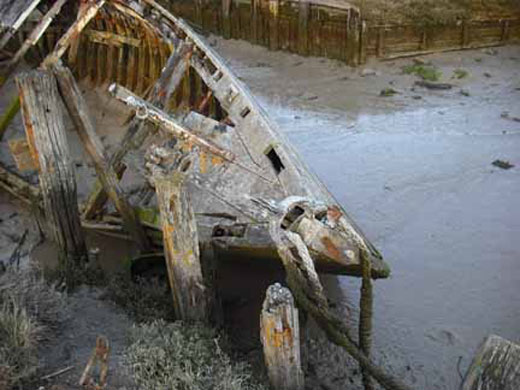 UR in the Picture: Shipwrecked by Sean Benn