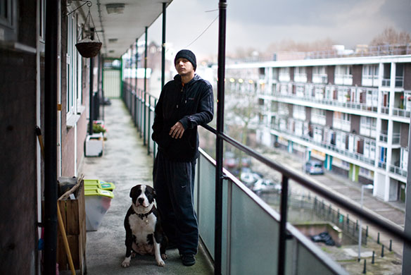 Status dogs: Status dogs by Jonangelo Molinari 