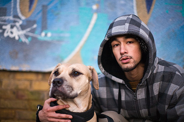 Status dogs: Status dogs by Jonangelo Molinari 