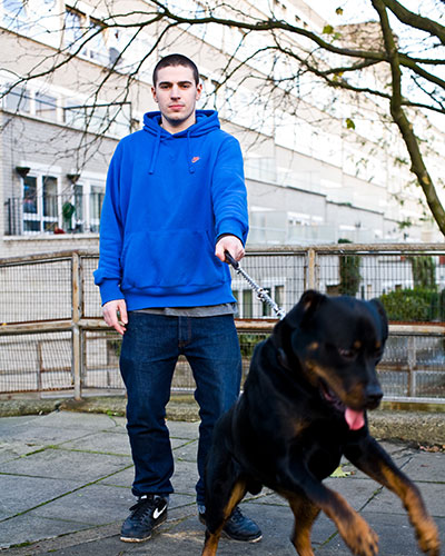 Status dogs: Status dogs by Jonangelo Molinari 