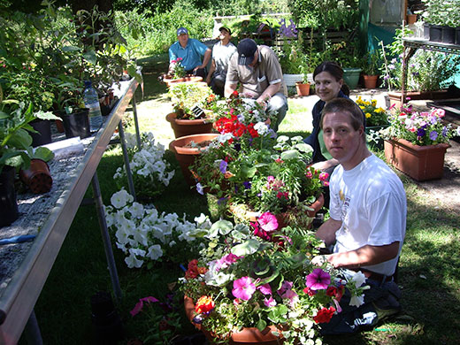 Voluntary organisations: Share community wandsworth gardening classes
