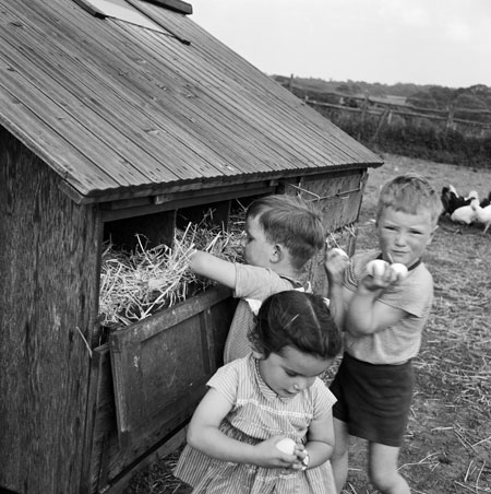 Gallery John Gay retrospective: Children collecting eggs