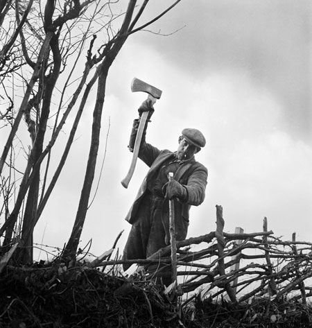 Gallery John Gay retrospective: Hedger in Bridgnorth, Shropshire