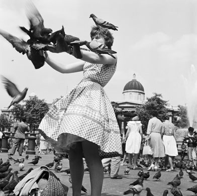 Gallery John Gay retrospective: Pigeons in Trafalgar Square, London