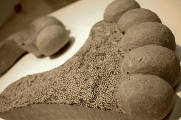 Gallery Sense of Belonging: Sense of Belonging exhibition