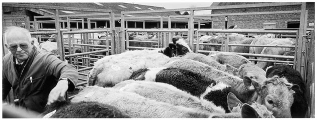 In a Very English Town: Martin Foster at Thame Farmers Auction Mart Ltd, North Street