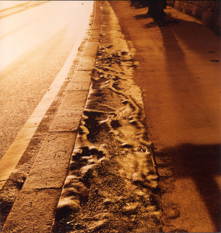 Commonsensual: The Veins