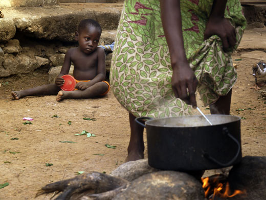 essays on food crisis essays on food crisis