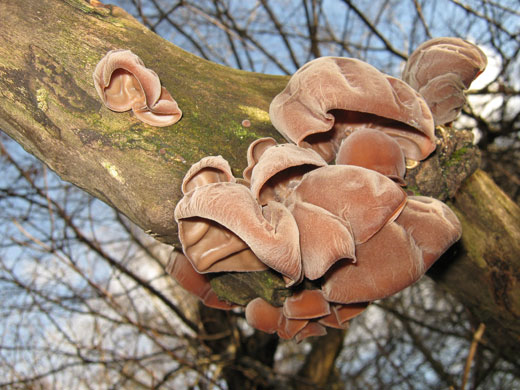 Shared Horizon: Untitled 