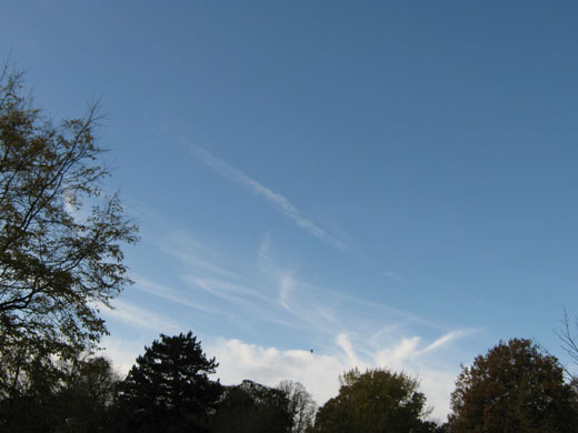 Shared Horizon: Blue 