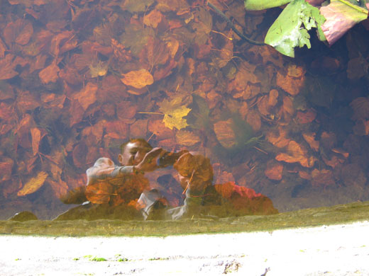 Shared Horizon: Untitled