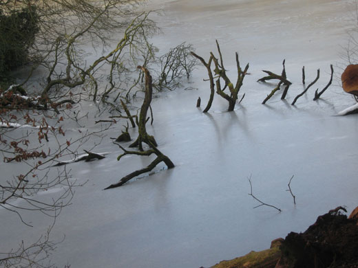 Shared Horizon: Untitled 