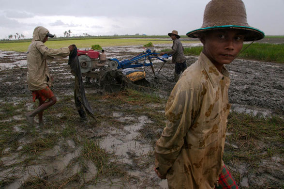 Cyclone Nargis a year on: Cyclone Nargis one year on