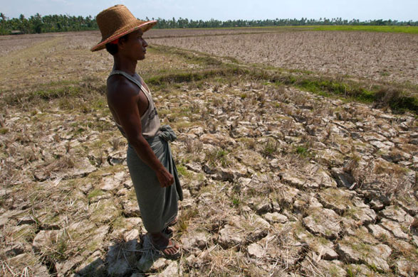 Cyclone Nargis a year on: Cyclone Nargis one year on