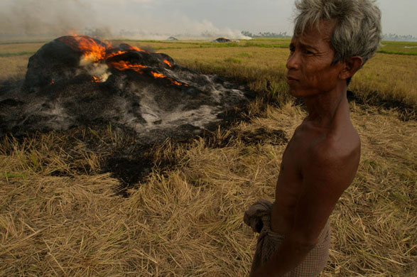 Cyclone Nargis a year on: Cyclone Nargis one year on