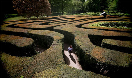 Hampton Court maze