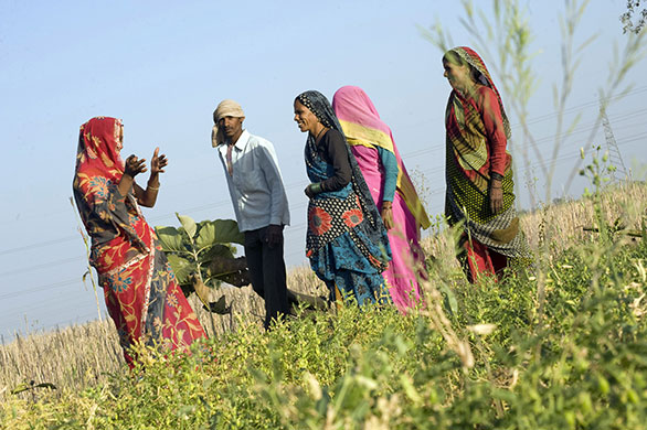 Janani Express: Janani Express