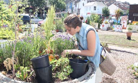 Lewes Road community garden