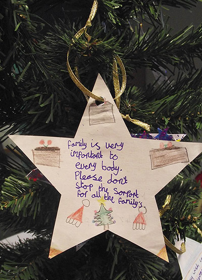 Wish star campaign: Wish star campaign, Scope