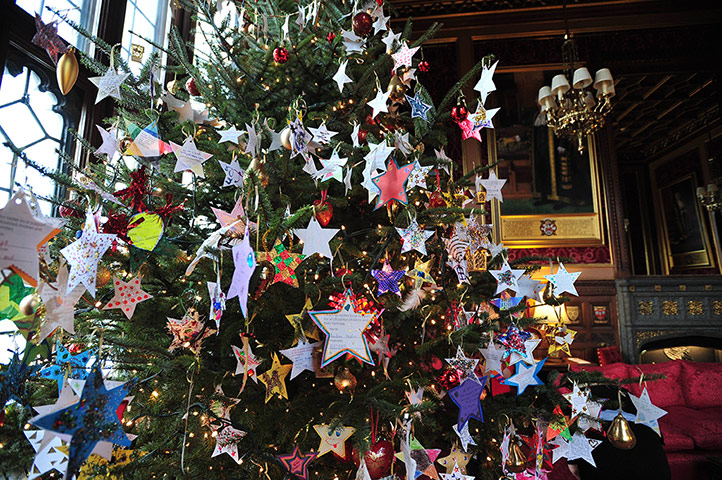 Scope's wish tree: The tree decorated with 'wish stars'