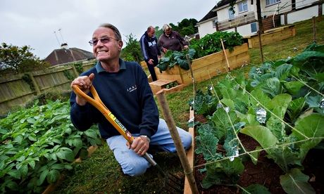 A neighbourhood food-growing scheme in Torquay.