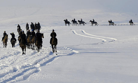 Racehorses-working-in-the-001.jpg