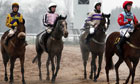 southwell#39;s jump racing on the