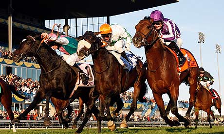 Joshua Tree in Canada
