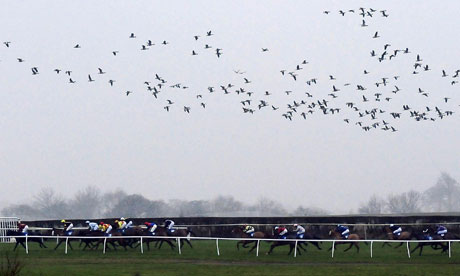 Horse Racing - Catterick Racecourse