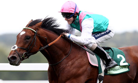 Live Life Like Frankel