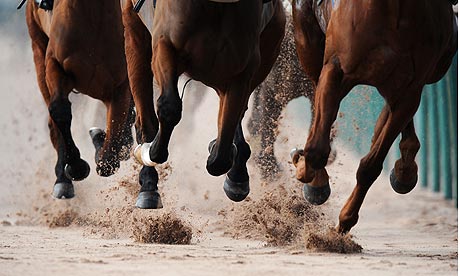 Horse Racing - Southwell Racecourse