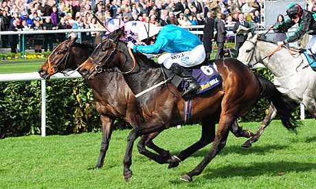 Horse Racing - William Hill Lincoln Meeting - Doncaster Racecourse