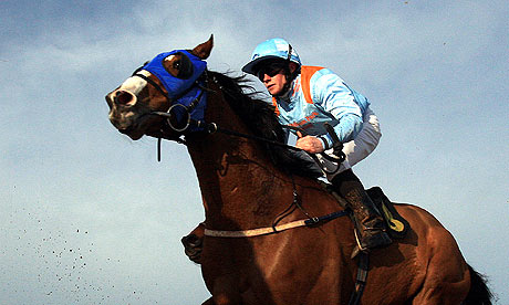 Horse Racing - Southwell Racecourse