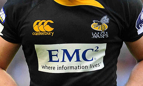 Wasps