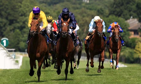 Sea The Stars, Rip Van Winkle