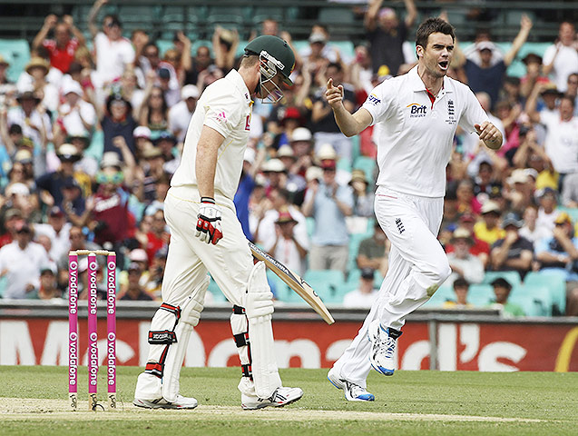 Ashes 2010: Brad Haddin and Jimmy Anderson
