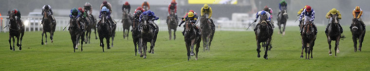 Ascot day 4: Martin Dwyer riding Manassas triumphs in The Buckingham Palace Stakes