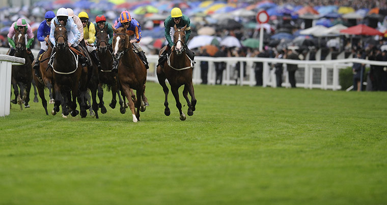 Ascot day 4: The field round a bend in the Queen's Vase on day 4 of Royal Ascot