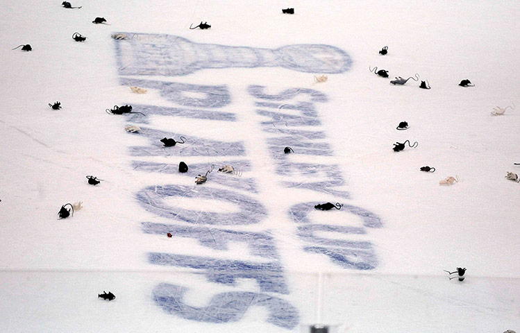 NHL QF: Victory rats for the Florida Panthers