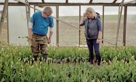 Gardens: Chelsea show business