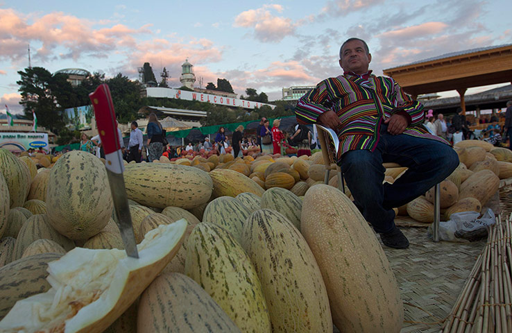 Sochi resort gallery: Sochi resort gallery