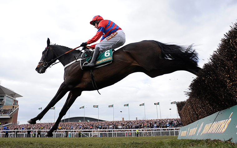 Aintree Ladies Day 2013: Aintree Ladies Day 2013